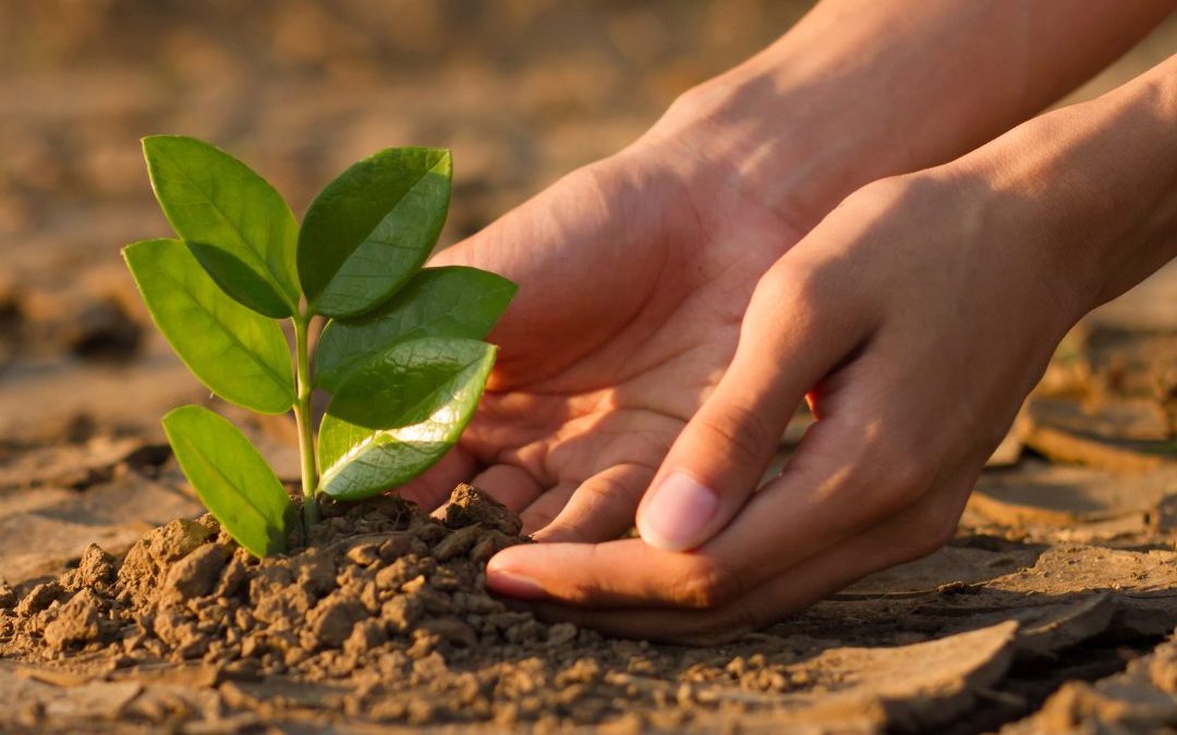 Embracing Change Unlocks Growth and Possibility