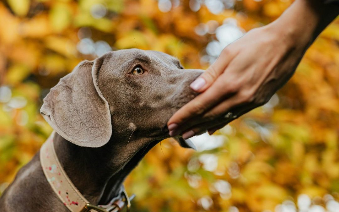 Trust, Loyalty Are Cornerstones of True Business Success