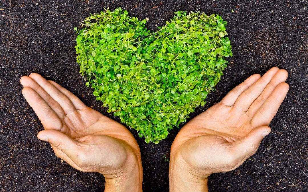 The Heart of Service: Genuine Care Builds Lasting Success