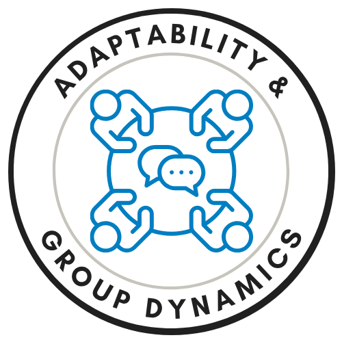 Facilitate_T-T 5_Adaptability